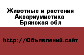 Животные и растения Аквариумистика. Брянская обл.